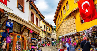 Bursa Tuıru görseli